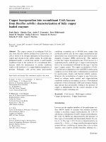 Research paper thumbnail of Copper incorporation into recombinant CotA laccase from Bacillus subtilis: characterization of fully copper loaded enzymes