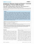 Research paper thumbnail of Endoplasmic Reticulum Sorting and Kinesin-1 Command the Targeting of Axonal GABAB Receptors