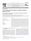 Research paper thumbnail of ATP- and ACh-induced responses in isolated cat petrosal ganglion neurons