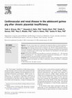 Research paper thumbnail of Cardiovascular and renal disease in the adolescent guinea pig after chronic placental insufficiency