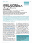 Research paper thumbnail of Expression of angiogenic regulators, VEGF and leptin, is regulated by the EGF/PI3K/STAT3 pathway in colorectal cancer cells