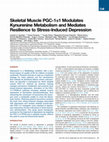 Research paper thumbnail of Skeletal Muscle PGC-1α1 Modulates Kynurenine Metabolism and Mediates Resilience to Stress-Induced Depression