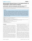 Research paper thumbnail of Mitochondrial Network Genes in the Skeletal Muscle of Amyotrophic Lateral Sclerosis Patients