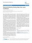 Research paper thumbnail of Neuronal plasticity during sleep slow wave oscillations