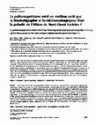 Research paper thumbnail of Is palaeomagnetism a better tool than biostratigraphy and sedimentology to define the polarity of the Albian deposits from northwestern Tunisia? | Le paleomagnetisme est-il un meilleur outil que la biostratigraphie et la sedimentologie pour fixer la polarite de l'Albien du Nord-Ouest tunisien?