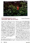 Research paper thumbnail of 'Ecopornography versus the slow deep art of place', EarthLines, 2013