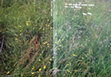 Research paper thumbnail of 'Field findings' by Dr. Karen Till, The Red Stables 'Art & Ecology' Summer School, 2012