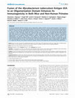 Research paper thumbnail of Fusion of the Mycobacterium tuberculosis Antigen 85A to an Oligomerization Domain Enhances Its Immunogenicity in Both Mice and Non-Human Primates