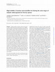 Research paper thumbnail of High stability of nuclear microsatellite loci during the early stages of somatic embryogenesis in Norway spruce