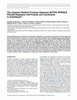 Research paper thumbnail of The caspase-related protease separase (EXTRA SPINDLE POLES) regulates cell polarity and cytokinesis in arabidopsis