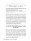 Research paper thumbnail of Sward structure and herbage yield of rotationally stocked pastures of 'Marandu' palisadegrass [Brachiaria brizantha (A.Rich.) Stapf] as affected by herbage allowance