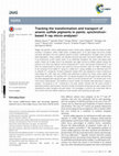 Research paper thumbnail of Tracking the transformation and transport of arsenic sulfide pigments in paints: synchrotron-based X-ray micro-analyses