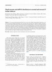 Research paper thumbnail of Hsp56 protein and mRNA distribution in normal and stressed P. lividus embryos