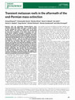 Research paper thumbnail of Transient metazoan reefs in the aftermath of the end-Permian mass extinction