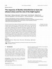 Research paper thumbnail of The response of Bacillus licheniformis to heat and ethanol stress and the role of the SigB regulon