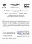 Research paper thumbnail of The global gene expression response of Escherichia coli to l-phenylalanine