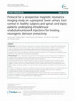 Research paper thumbnail of Protocol for a prospective magnetic resonance imaging study on supraspinal lower urinary tract control in healthy subjects and spinal cord injury patients undergoing intradetrusor onabotulinumtoxinA injections for treating neurogenic detrusor overactivity