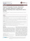 Research paper thumbnail of Study of Coxsackie B viruses interactions with Coxsackie Adenovirus receptor and Decay-Accelerating Factor using Human CaCo-2 cell line