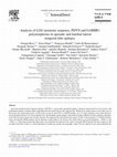 Research paper thumbnail of Analysis of LGI1 promoter sequence, PDYN and GABBR1 polymorphisms in sporadic and familial lateral temporal lobe epilepsy