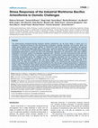 Research paper thumbnail of Stress Responses of the Industrial Workhorse Bacillus licheniformis to Osmotic Challenges