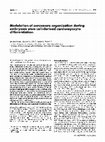 Research paper thumbnail of Modulation of sarcomere organization during embryonic stem cell-derived cardiomyocyte differentiation