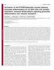 Research paper thumbnail of Activation of the PTHRP/adenylate cyclase pathway promotes differentiation of rat XEN cells into parietal endoderm, whereas Wnt/ -catenin signaling promotes differentiation into visceral endoderm