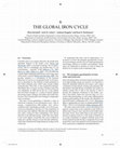 Research paper thumbnail of The Global Iron Cycle