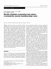 Research paper thumbnail of Microbial colonization of polyurethane foam matrices in horizontal-flow anaerobic immobilized-sludge reactor