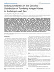 Research paper thumbnail of Striking Similarities in the Genomic Distribution of Tandemly Arrayed Genes in Arabidopsis and Rice