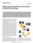 Research paper thumbnail of Gibbon genome and the fast karyotype evolution of small apes