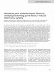 Research paper thumbnail of Helicobacter pylori accelerates hepatic fibrosis by sensitizing transforming growth factor-β1-induced inflammatory signaling