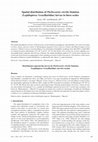 Research paper thumbnail of Spatial distribution of Phyllocnistis citrella Station (Lepidoptera: Gracillariidae) larvae in three scales