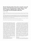 Research paper thumbnail of Record of the deep marine Clinocythereis australis Ayress and Swanson, 1991 (Ostracoda) from the upper Miocene Tambo River Formation, Gippsland Basin, Australia: Palaeo-oceanographic and biostratigraphic implications