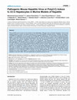 Research paper thumbnail of Pathogenic Mouse Hepatitis Virus or Poly(I:C) Induce IL-33 in Hepatocytes in Murine Models of Hepatitis