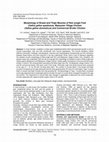 Research paper thumbnail of Morphology of Breast and Thigh Muscles of Red Jungle Fowl (Gallus gallus spadiceus), Malaysian Village Chicken (Gallus gallus domesticus) and Commercial Broiler Chicken