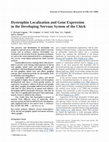 Research paper thumbnail of Dystrophin localization and gene expression in the developing nervous system of the chick