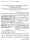 Research paper thumbnail of Entomopathogenic Potential ofVerticilliumandAcremoniumSpecies (Deuteromycotina: Hyphomycetes)