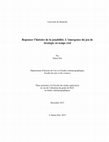 Research paper thumbnail of Repenser l’histoire de la jouabilité. L’émergence du jeu de stratégie en temps réel