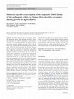 Research paper thumbnail of Substrate-specific transcription of the enigmatic GH61 family of the pathogenic white-rot fungus Heterobasidion irregulare during growth on lignocellulose