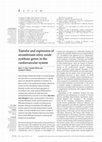 Research paper thumbnail of Transfer and expression of recombinant nitric oxide synthase genes in the cardiovascular system