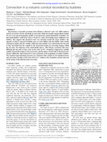 Research paper thumbnail of Convection in a volcanic conduit recorded by bubbles