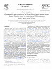 Research paper thumbnail of Phylogenetics and evolution of bell frogs (Litoria aurea species-group, Anura: Hylidae) based on mitochondrial ND4 sequences