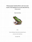 Research paper thumbnail of Phylogeography, Population History and Conservation Genetics of the Endangered Green and Golden Bell Frog (Litoria aurea)