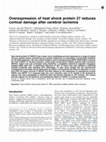 Research paper thumbnail of Overexpression of heat shock protein 27 reduces cortical damage after cerebral ischemia