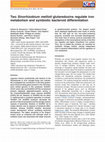 Research paper thumbnail of Two Sinorhizobium meliloti glutaredoxins regulate iron metabolism and symbiotic bacteroid differentiation