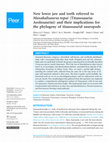 Research paper thumbnail of New lower jaw and teeth referred to Maxakalisaurus topai (Titanosauria: Aeolosaurini) and their implications for the phylogeny of titanosaurid sauropods