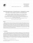 Research paper thumbnail of Spirodiketopiperazines of mannofuranose: carbopeptoid [alpha]-amino acid esters at the anomeric position of mannofuranose