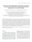 Research paper thumbnail of Occurrences of the Golden-Headed Lion Tamarin ( Leontopithecus chrysomelas ) Above 500 Meters in Southern Bahia, Brazil and Implications for Conservation Planning