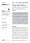 Research paper thumbnail of In situ X-ray scattering evaluation of heat-induced ultrastructural changes in dental tissues and synthetic hydroxyapatite