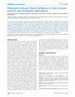 Research paper thumbnail of Pilocarpine-Induced Status Epilepticus in Rats Involves Ischemic and Excitotoxic Mechanisms